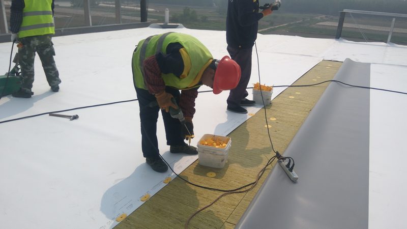 水泥基防水涂料干透时间揭秘：影响因素与实际应用**